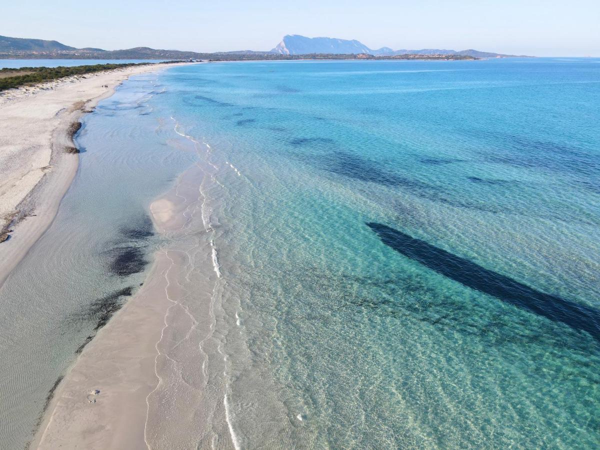 Iss Travel, San Teodoro 1 - 100 M From Cala D'Ambra Beach Buitenkant foto